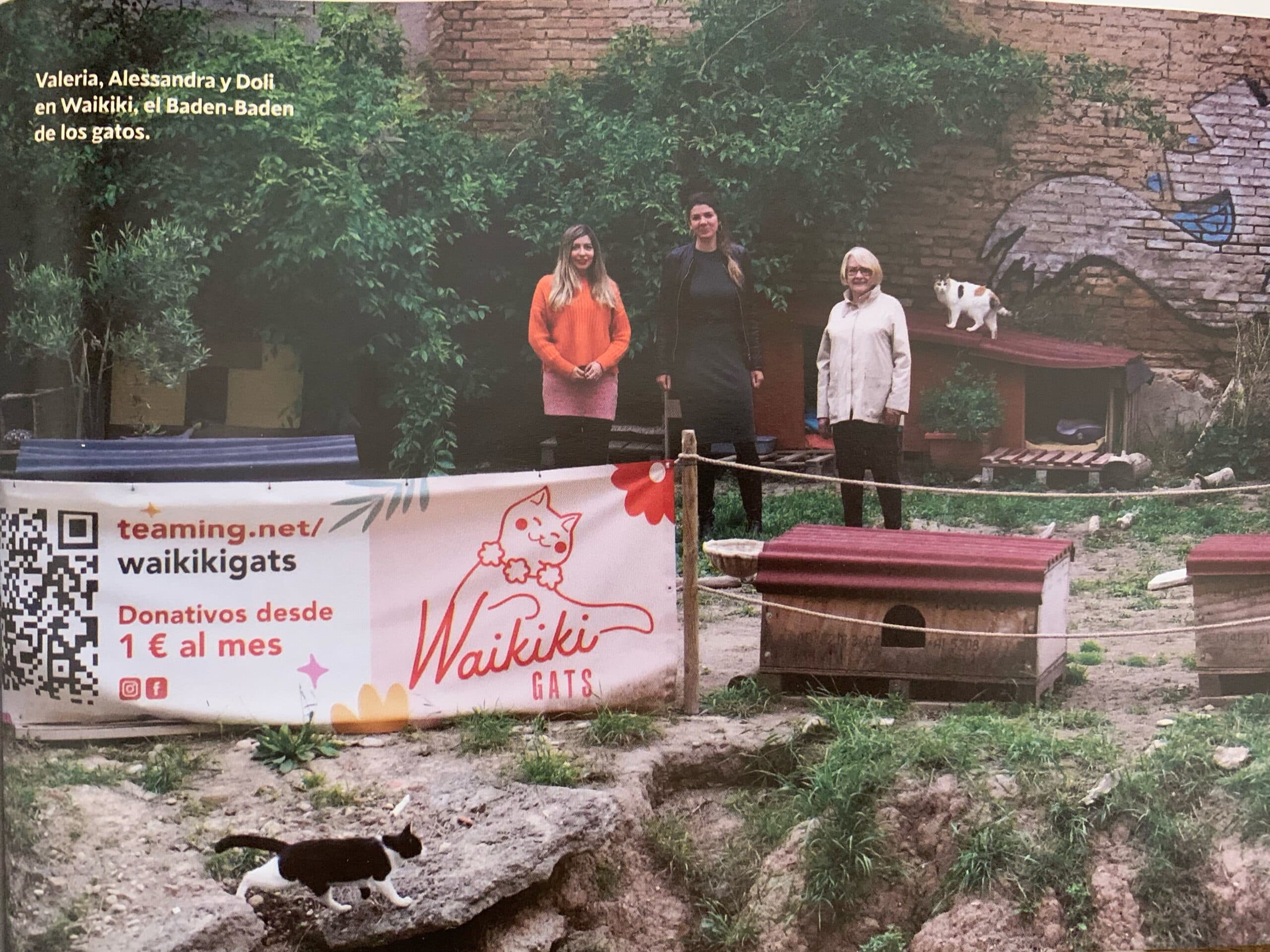 Equipo de WaikikiGats